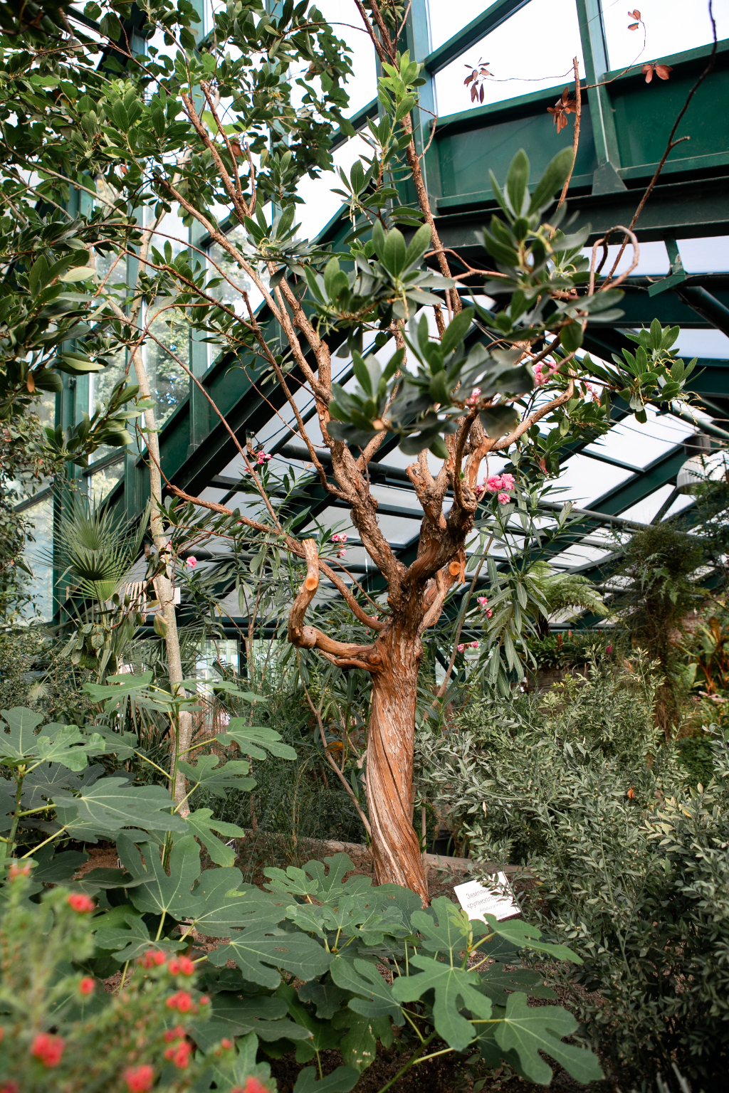 1841